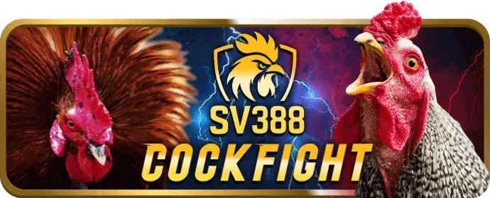 Cá cược thể thao fly88 win